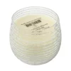 Candles A & B Home 3.5 In. Dia. Gold Foil Earl Grey Scented Soy Wax Candle