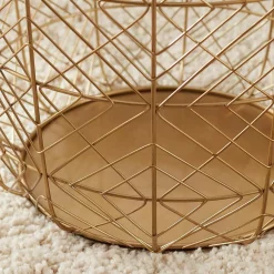 Storage Baskets Home Decorators Collection Round Gold Metal Wire Decorative Basket (Set Of 3) 10 Storage Baskets Home Decorators Collection Round Gold Metal Wire Decorative Basket (Set Of 3) -Home Accents shop gold home decorators collection storage baskets dc19 4959abc a0 1000