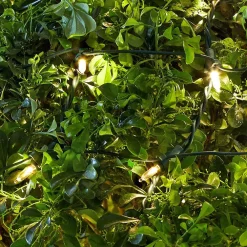 Christmas Lights Home Accents Holiday 4 Ft. X 6 Ft. 150-Light LED Warm White Smooth Super Bright Constant On Twinkle Mini Net Light -Home Accents shop home accents holiday christmas net lights ty384 2015 1d 1000