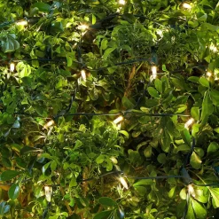 Christmas Lights Home Accents Holiday 4 Ft. X 6 Ft. 150-Light LED Warm White Smooth Super Bright Constant On Twinkle Mini Net Light -Home Accents shop home accents holiday christmas net lights ty384 2015 a0 1000