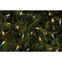 Christmas Lights Home Accents Holiday 300-Light LED Warm White Smooth Mini SB Constant On (Set Of 2) -Home Accents shop home accents holiday christmas novelty lights ty560 1715wwpp2 a0 1000