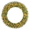 Christmas Greenery Home Accents Holiday 60 In. Wesley Pre-Lit Long Needle Pine Artificial Christmas Wreath With 498-mixed Tips And 240 Warm White Lights 1 Christmas Greenery Home Accents Holiday 60 In. Wesley Pre-Lit Long Needle Pine Artificial Christmas Wreath With 498-mixed Tips And 240 Warm White Lights -Home Accents shop home accents holiday christmas wreaths gd50m2l46l02 64 1000