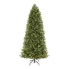 Christmas Trees Home Decorators Collection 7.5 Ft Lachlan Balsam Fir Slim LED Pre-Lit Artificial Christmas Tree With 460 Color Changing Lights With 7 Functions 1 Christmas Trees Home Decorators Collection 7.5 Ft Lachlan Balsam Fir Slim LED Pre-Lit Artificial Christmas Tree With 460 Color Changing Lights With 7 Functions -Home Accents shop home decorators collection pre lit christmas trees r64875slpyt5wm 64 1000